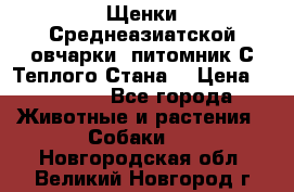 Щенки Среднеазиатской овчарки (питомник С Теплого Стана) › Цена ­ 20 000 - Все города Животные и растения » Собаки   . Новгородская обл.,Великий Новгород г.